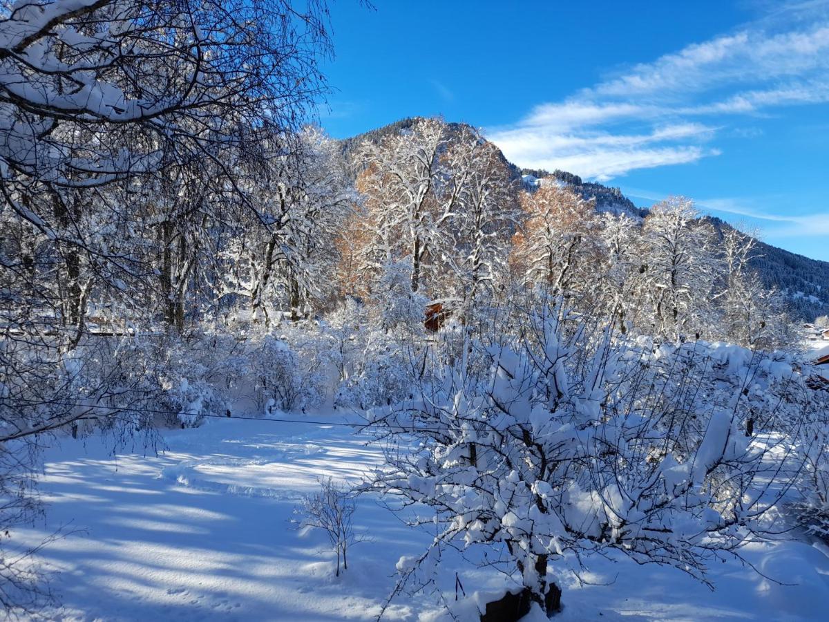 Apartmán Landhaus Schanzblick Bad Hindelang Exteriér fotografie