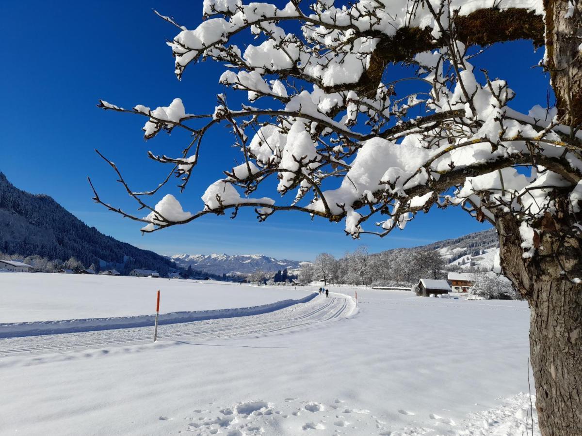 Apartmán Landhaus Schanzblick Bad Hindelang Exteriér fotografie