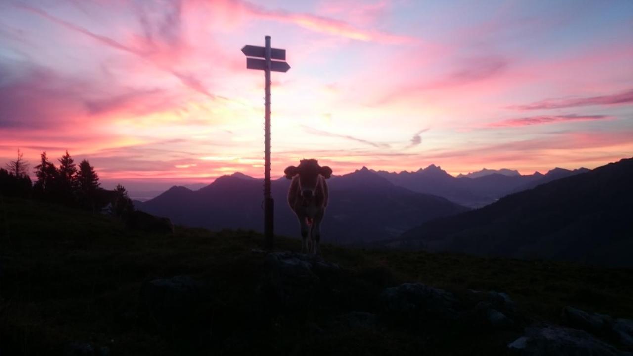 Apartmán Landhaus Schanzblick Bad Hindelang Exteriér fotografie